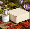 Five types of Dossierrr series multi choice perfume, neutral perfume spray, lasting fragrance
